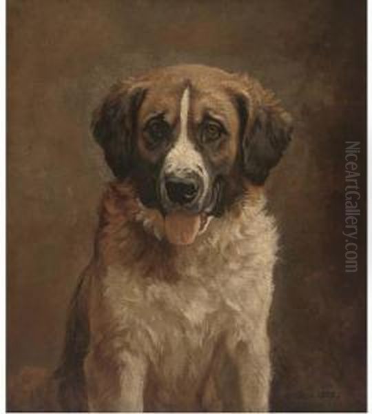 A Faithful St. Bernard - view 1