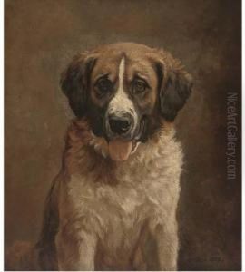 A Faithful St. Bernard