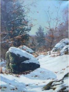 Sous-bois En Hiver Sous-bois En Hiver
