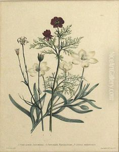 4 Botanical Plates by Jane Webb Loudon
