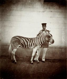 Album Du Jardin Zoologique by Louis-Godefroy De Lucy-Fossarieu