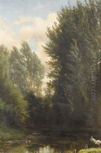 Flusspartie Im Wald Mit Storchen.
