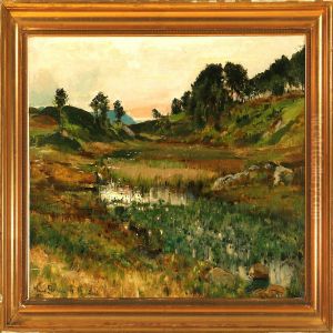 Overlooking A Moor Landscape