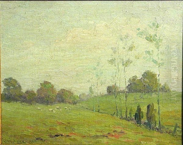 Sheep In The Meadow - view 1