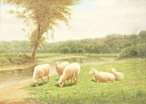 Sheep Grazing by Clinton Loveridge