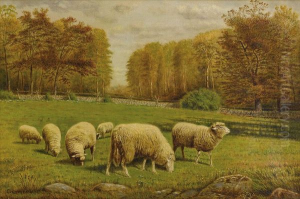 Grazing Sheep - view 1