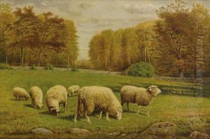 Grazing Sheep by Clinton Loveridge