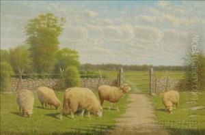 The Grazing Flock. by Clinton Loveridge