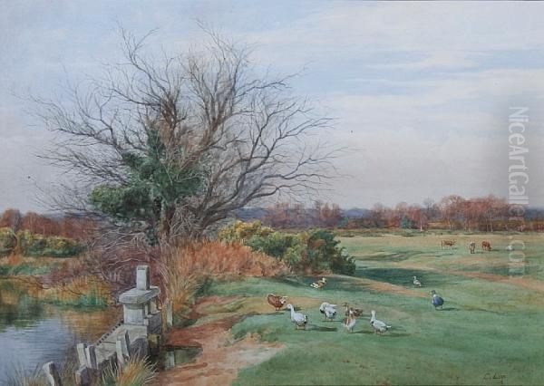 A Surrey Common In April - view 1