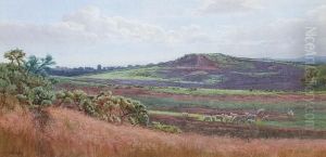 Mousehill Downs