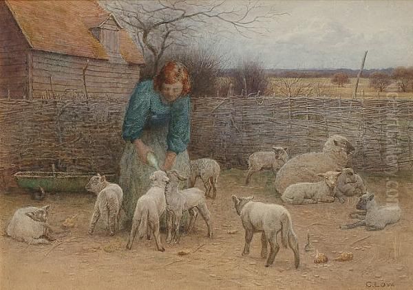 Feeding The Lambs - view 1