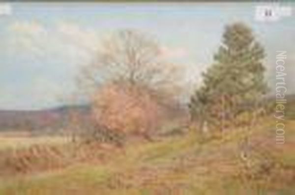 Landscape Withfemale Figure Walking - view 1