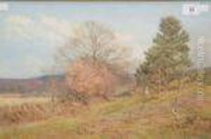 Landscape Withfemale Figure Walking