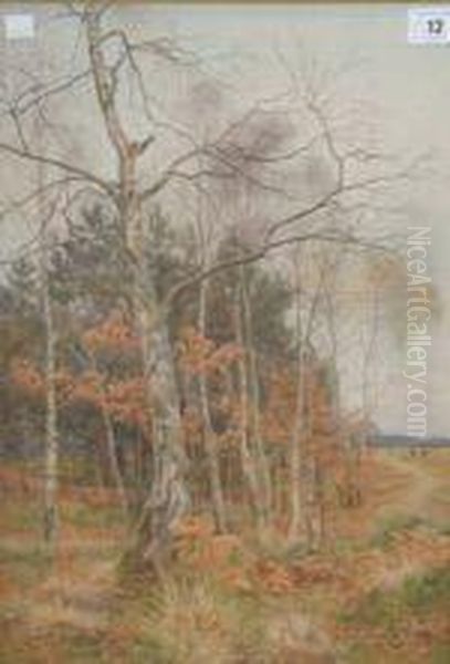Landscape Withcopper Beech - view 1