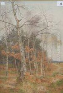 Landscape Withcopper Beech Landscape Withcopper Beech