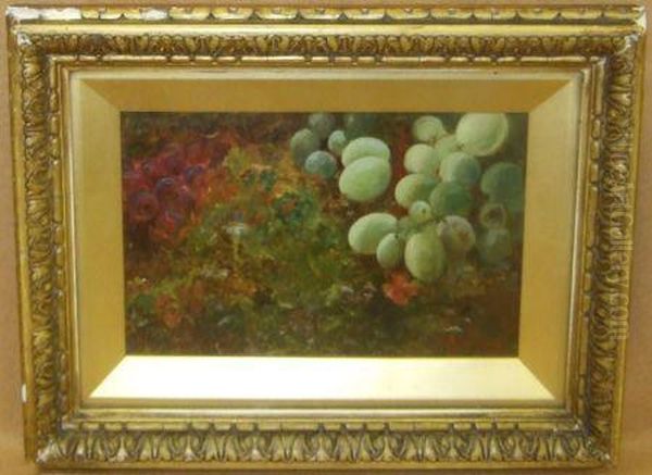 A Still Life Study Of Fruit On A Mossy Bank - view 1