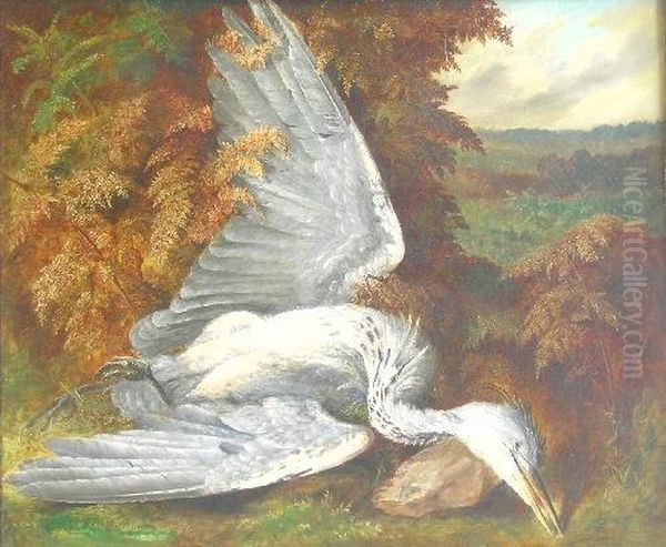 The Dead Heron - view 1