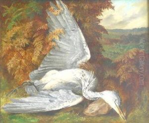 The Dead Heron by A. D. Lucas