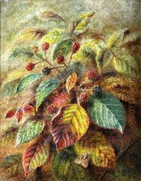 Black Berries - view 1