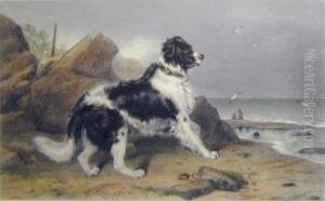 After Sir Edwin Landseer, 'off To The Rescue', 31.5cm X 51cm, Handcoloured Engraving, Framed After Sir Edwin Landseer, 'off To The Rescue', 31.5cm X 51cm, Handcoloured Engraving, Framed