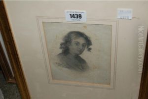 Head And Shoulder Portrait