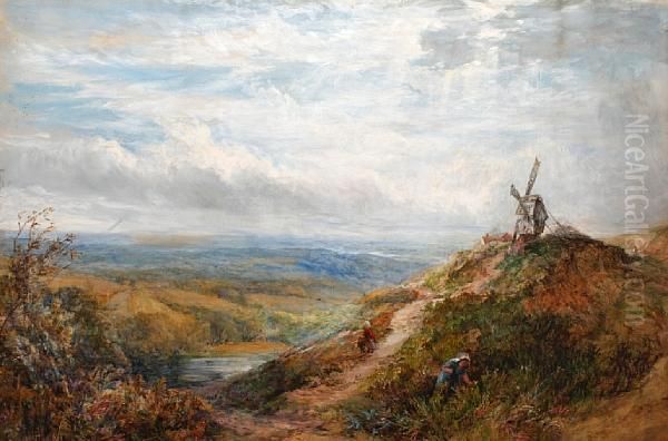 Girl Picking Wildflowers In An Extensivelandscape, With Distant Windmill - view 1