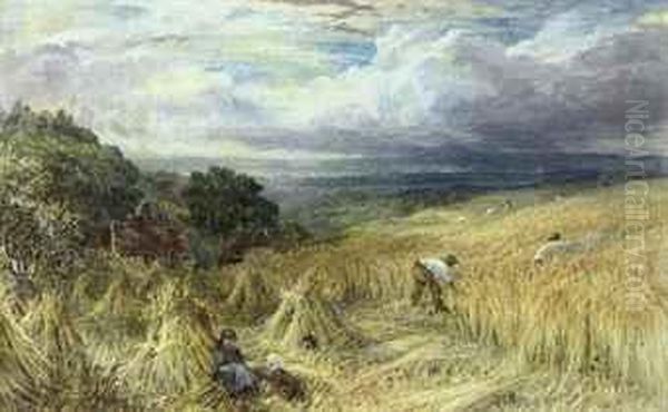 Harvest Day - view 1