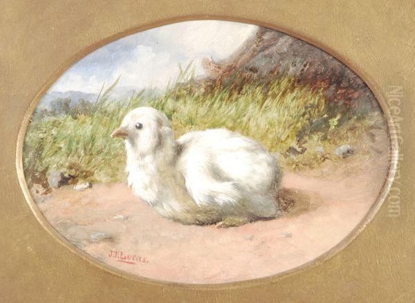 Study Of Achick - view 1