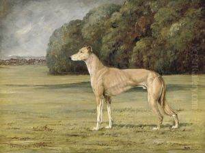 Delightful Devon, Winner Of The Waterloo Cup Delightful Devon, Winner Of The Waterloo Cup