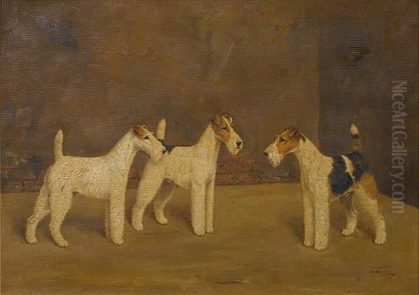 Three Wire-haired Fox Terriers - view 1