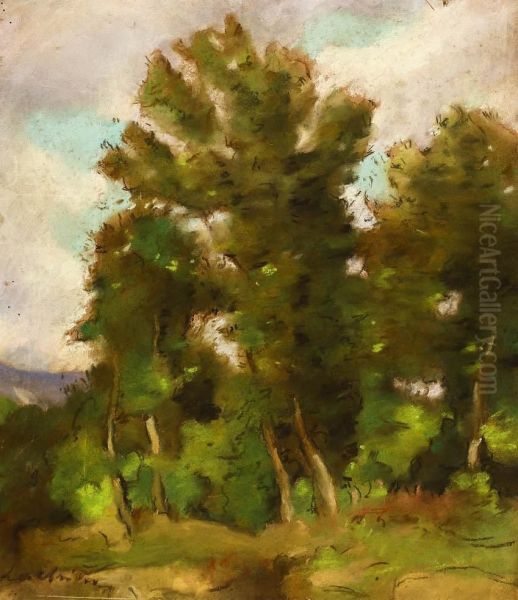 Grove To Brebu - view 1