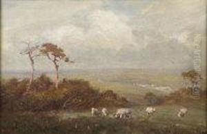 Sheep Grazing In Extensive Landscape by Max Ludby