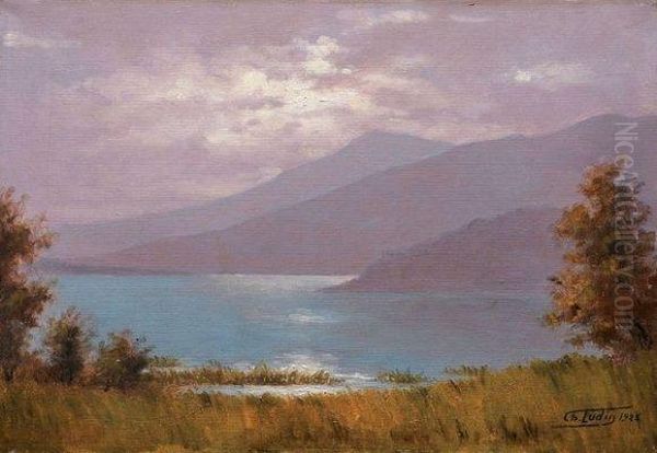 Lac D'aiguebelette - view 1