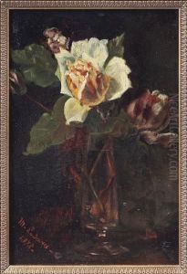 Study Of A Rose Study Of A Rose