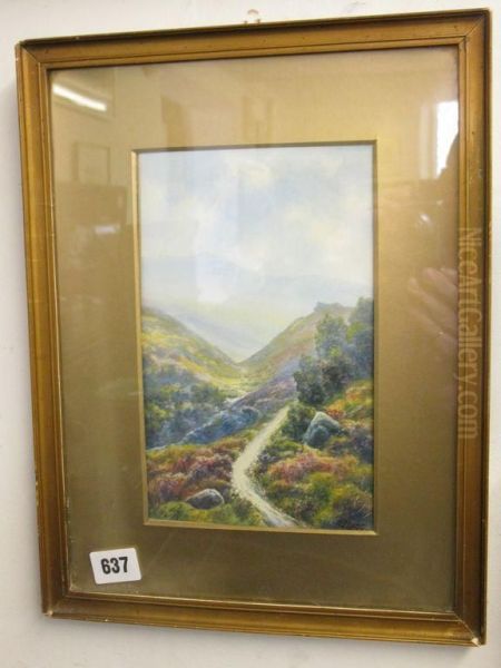 Landscapes - view 1