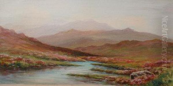 Heather Moorland Views With Mountain Backdrops - view 1