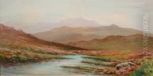 Highland Heather Moorland Views With Mountain Backdrops
