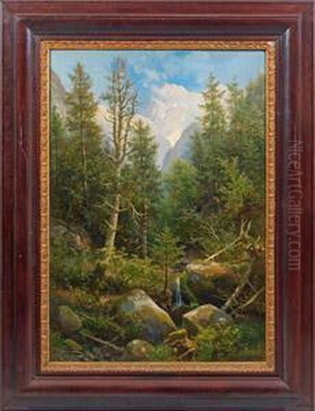 Grosehochalpenlandschaft - view 1
