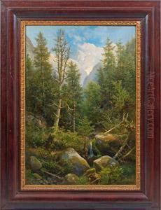 Grosehochalpenlandschaft Grosehochalpenlandschaft