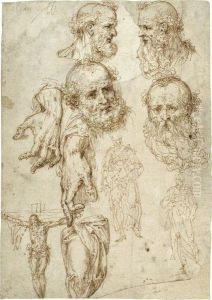 A Sheet Of Studies Including Heads, Hands And Figures by Aurelio Luini