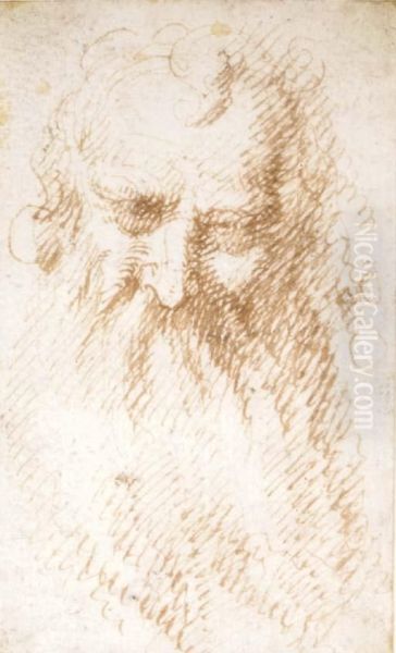 Head Of A Bearded Man - view 1