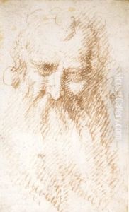 Head Of A Bearded Man by Aurelio Luini