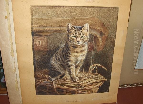 "day-dreams", Study Of A Cat - view 1