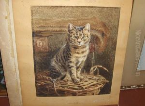 "day-dreams", Study Of A Cat