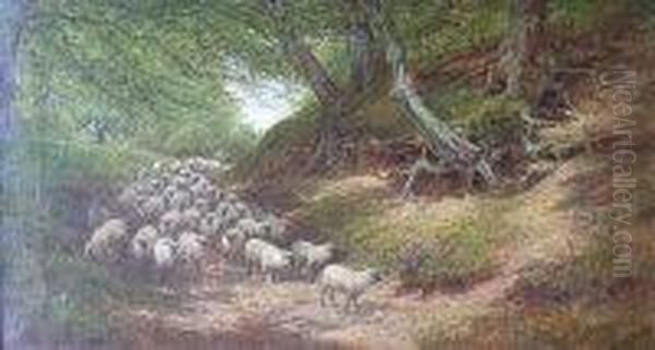 A Shepherd With His Flock On A Sunlit Woodland Track - view 1