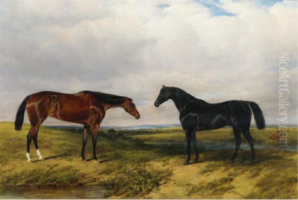 Two Horses In An Extensive Landscape - view 1