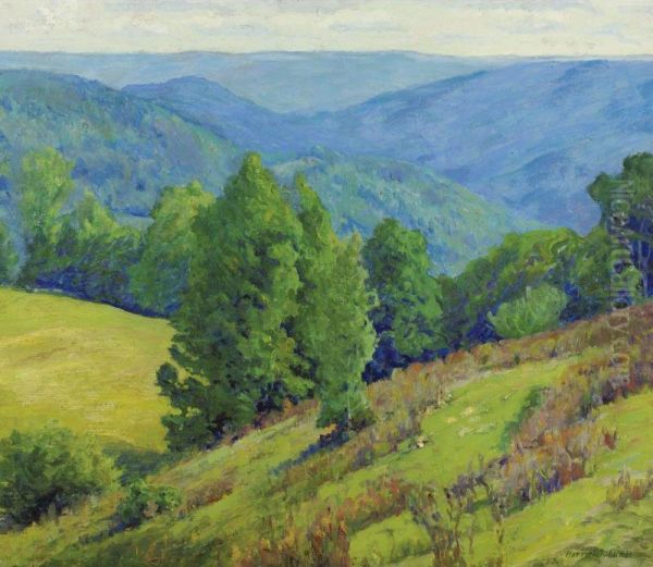 Overlook - view 1