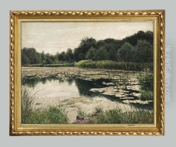 Seelandschaft - view 1