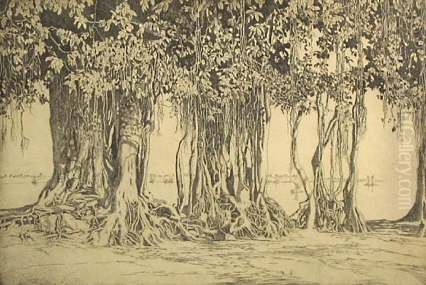 The Banyan Tree - view 1