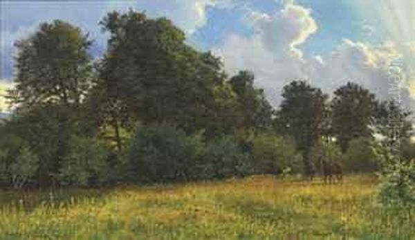 Bay Horses Tethered In Pasture - view 1